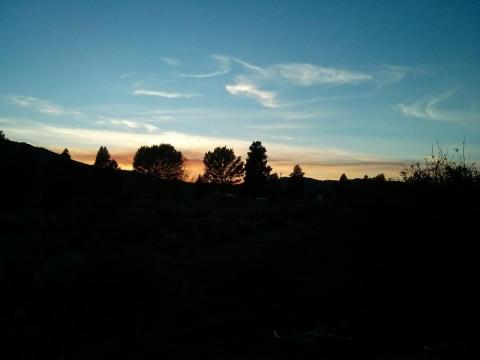 Silhouette of trees before a sunset by J.M. Diener